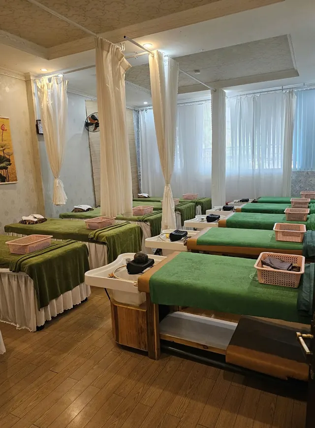 Treatment room with curtained beds inside LOTUS